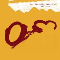 The American Analog Set - Set Free