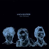 Unwound - Peel Sessions