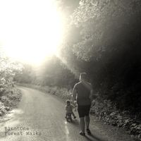 BluntOne - Forest Walk
