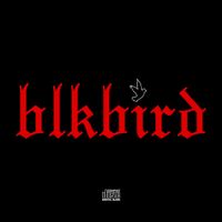 Lund - BlkBird