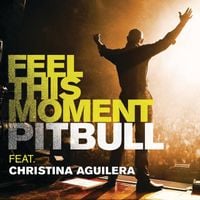 Pitbull - Feel This Moment