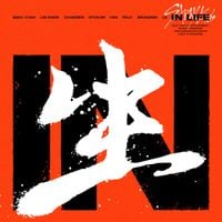Stray Kids - IN生 [IN LIFE]