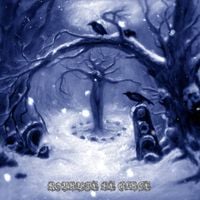 Sombres For&ecirc;ts - Royaume de Glace