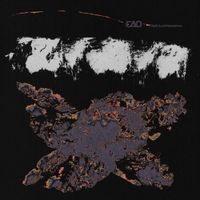 CAO - Flesh Luminescence