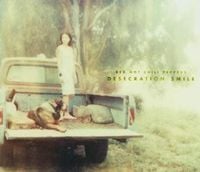 Red Hot Chili Peppers - Desecration Smile