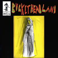Buckethead - Once Upon A Distant Plane