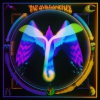 The Avalanches - Take Care In Your Dreaming