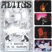 Aditus - A Trav&eacute;s de la Ventana