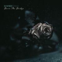Elwood Stray - Burn the Bridge