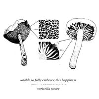 Unable To Fully Embrace This Happiness - Unable to Fully Embrace This Happiness / Varicella Zoster