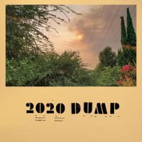 Jeff Rosenstock - 2020 DUMP
