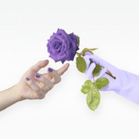 ​interrogaci&oacute;n ​amor - ​mentira