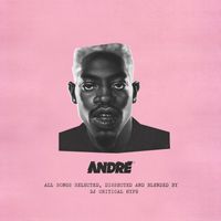 DJ Critical Hype - ANDRE