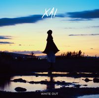 XAI - WHITEOUT