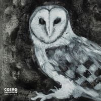Cosmo Sheldrake - Wake Up Calls