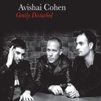Avishai Cohen - Gently Disturbed