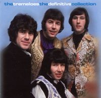 The Tremeloes - Definitive Collection