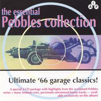 Various Artists - The Essential Pebbles Collection, Vol. 1: The Best of American Garage