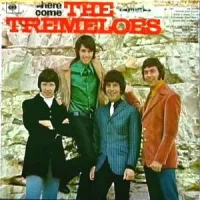 The Tremeloes - Here Come the Tremeloes
