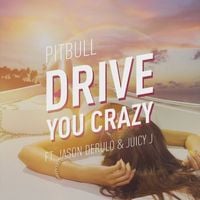 Pitbull - Drive You Crazy