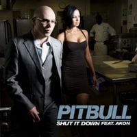 Pitbull - Shut It Down
