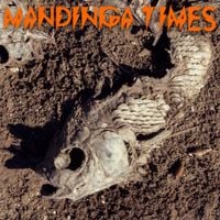 Rita Indiana - Mandinga Times