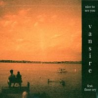 Vansire - Nice to See You