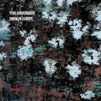 Yuri Vinogradov - Snow in Europe