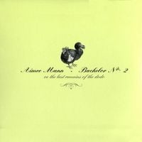 Aimee Mann - Bachelor No. 2 (Or, the Last Remains of the Dodo)