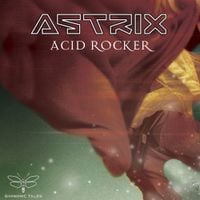 Astrix - Acid Rocker
