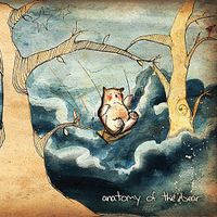 Anatomy Of The Bear - Anatomy of The Bear