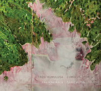 Samo Kutin & Ana Kravanja - Cumulus Spores