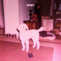 Tree Trunks - Spirit