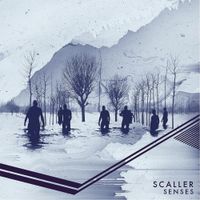SCALLER - Senses