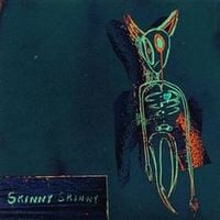 Ashton Irwin - Skinny Skinny