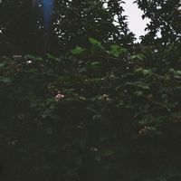 Handsome Eric - Nah, I'm Good