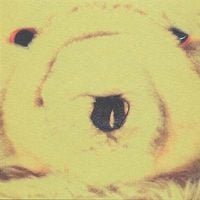 Coulter / Michael Gira / Mathoul / Palestine - Gantse Mishpuchah Music in Three Parts