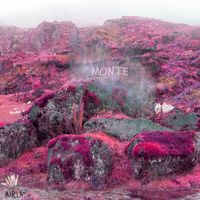 Monte - Mirla