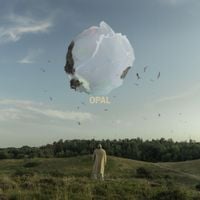 Snavs - Opal