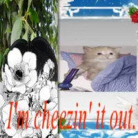 Rezco - I'm cheezin' it out.