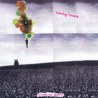 Exploding Flowers - Stumbling Blocks