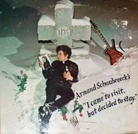 Armand Schaubroeck Steals - I Came to Visit, But Decided to Stay