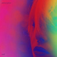 Animal Ghosts - Wail