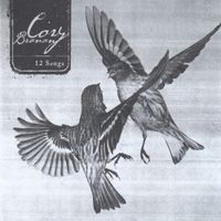 Cory Branan - 12 Songs