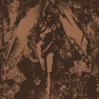 Converge & Napalm Death - Converge / Napalm Death