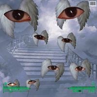 Birdbath - sleepover murders 2020