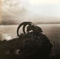 Rise Of Caligula - Parading from Heaven's Descent