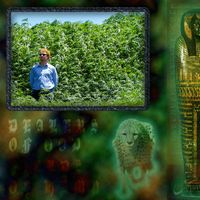 Dealers Of God - Walking Through Fields of Hemp