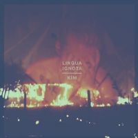Lingua Ignota - KIM