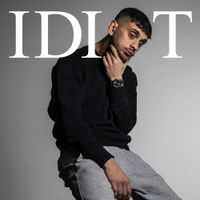 Artigeardit - IDIOT